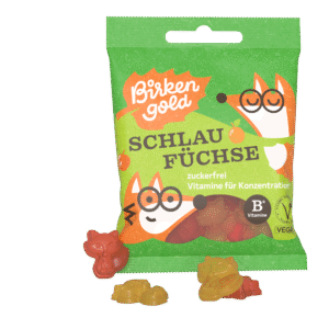 1314-Birkengold-Schlaufüchse-zuckerfrei-Vitamin-B-Xylit-Einzeln